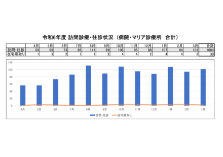 R6年度 訪問診療・往診状況2のサムネイル